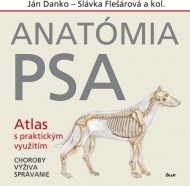 Anatómia psa - cena, porovnanie