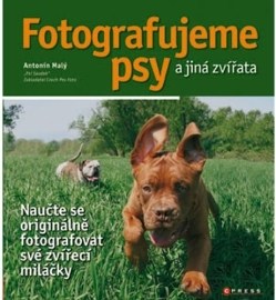 Fotografujeme psy a jiná zvířata