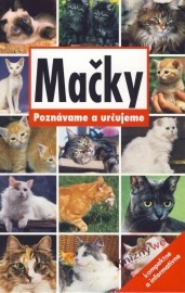 Mačky - poznávame a určujeme