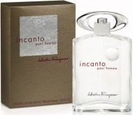 Salvatore Ferragamo Incanto Pour Homme 30 ml - cena, porovnanie