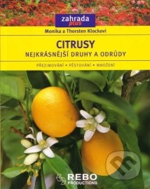 Citrusy