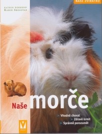 Naše morče