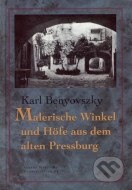 Malerische Winkel und Höfe aus dem alten Pressburg - cena, porovnanie