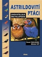 Astrildovití ptáci - cena, porovnanie