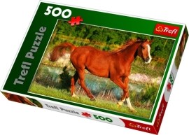 Trefl Kôň - 500