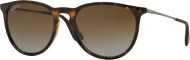 Ray Ban RB4171 - cena, porovnanie