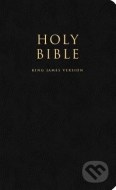 Holy Bible - cena, porovnanie