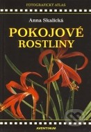 Pokojové rostliny - cena, porovnanie