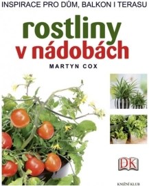 Rostliny v nádobách