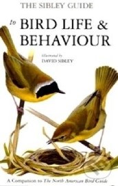 The Sibley Guide to Bird Life and Behaviour