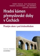 Hradní kámen přemyslovské doby v Čechách - cena, porovnanie