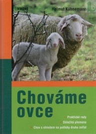 Chováme ovce