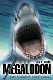 Megalodon