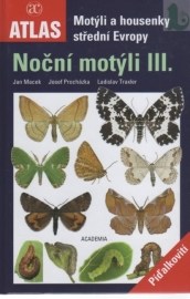 Noční motýli III.