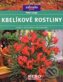 Kbelíkové rostliny