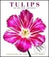 Tulips - cena, porovnanie