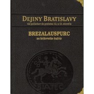 Dejiny Bratislavy - cena, porovnanie