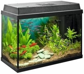 Juwel Rekord 700