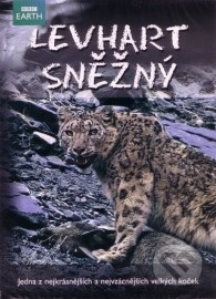 Levhart snězný