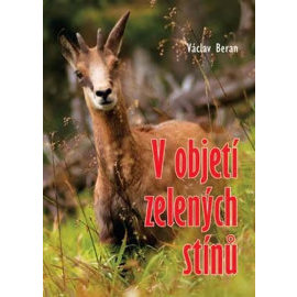 V objetí zelených stínů