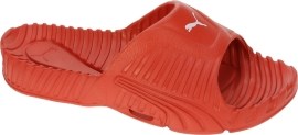 Puma Aqua Cat