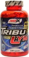 Amix Tribu-Lyn 220kps - cena, porovnanie