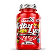 Amix Tribu-Lyn Max 90kps