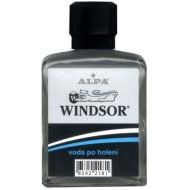 Alpa Windsor 100ml - cena, porovnanie