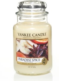 Yankee Candle Paradise Spice 623g