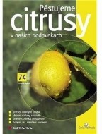 Pěstujeme citrusy v našich podmínkách - cena, porovnanie