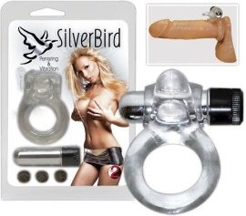 Silver Bird