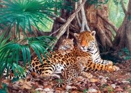 Castorland Jaguars in the jungle - 3000d - cena, porovnanie