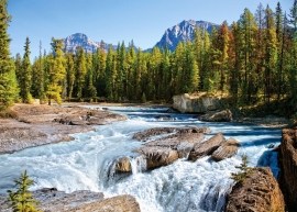 Castorland Athabasca River, Jasper National Park Canada - 1500d