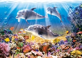 Castorland Dolphins Underwater - 500d