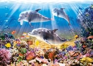 Castorland Dolphins Underwater - 500d - cena, porovnanie