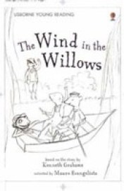 Young Reading 2: The Wind in the Willows