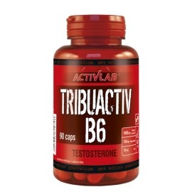 Activlab Tribuactiv B6 90tbl