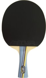 DHS 5002