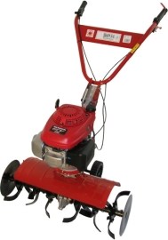 KF 04 Dragon 55
