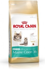 Royal Canin Maine Coon 31 400g