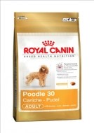 Royal Canin Poodle Adult 1.5kg - cena, porovnanie
