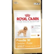 Royal Canin Poodle Adult 0.5kg - cena, porovnanie