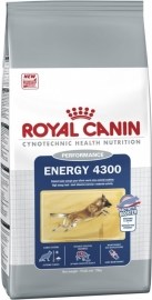 Royal Canin Energy 4300 15kg