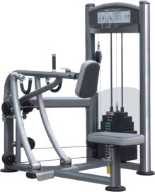 Impulse Fitness Vertical Row