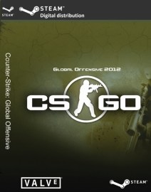 Counter Strike: Global Offensive