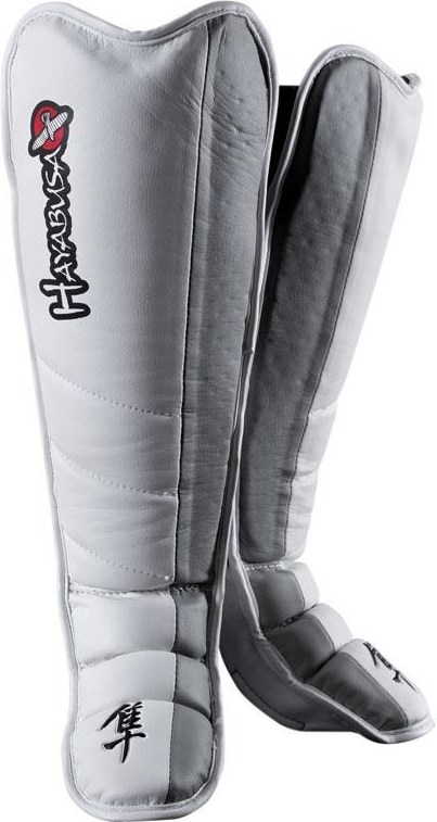 Hayabusa Tokushu REGENESIS