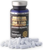 Goldfield MSM Plus 60kps - cena, porovnanie