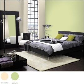 Dulux Colours of the World 5l Grécka chalva