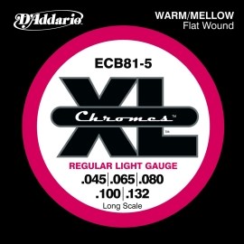 D´addario ECB81-5