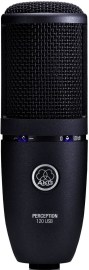 AKG P 120